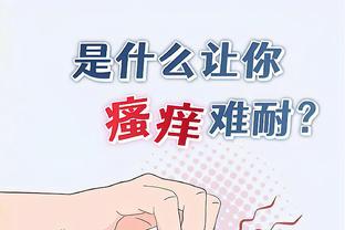 雷电竞reybat官网截图2